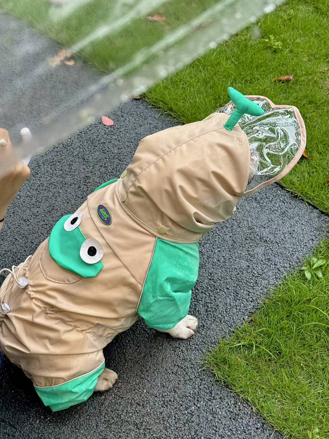 French Bulldog Frog Raincoat FrenchBulldogcartoonfrogonesieraincoatbyFrenchiely_5