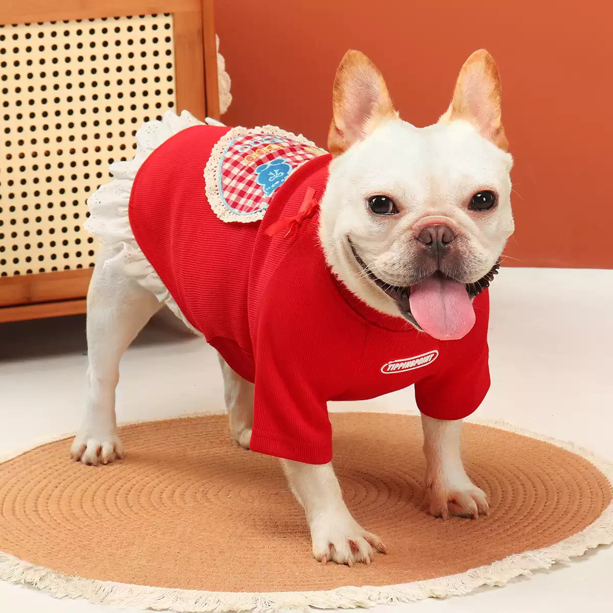 Red Bear Dress FrenchBulldogredshirtwithlacetutu_5