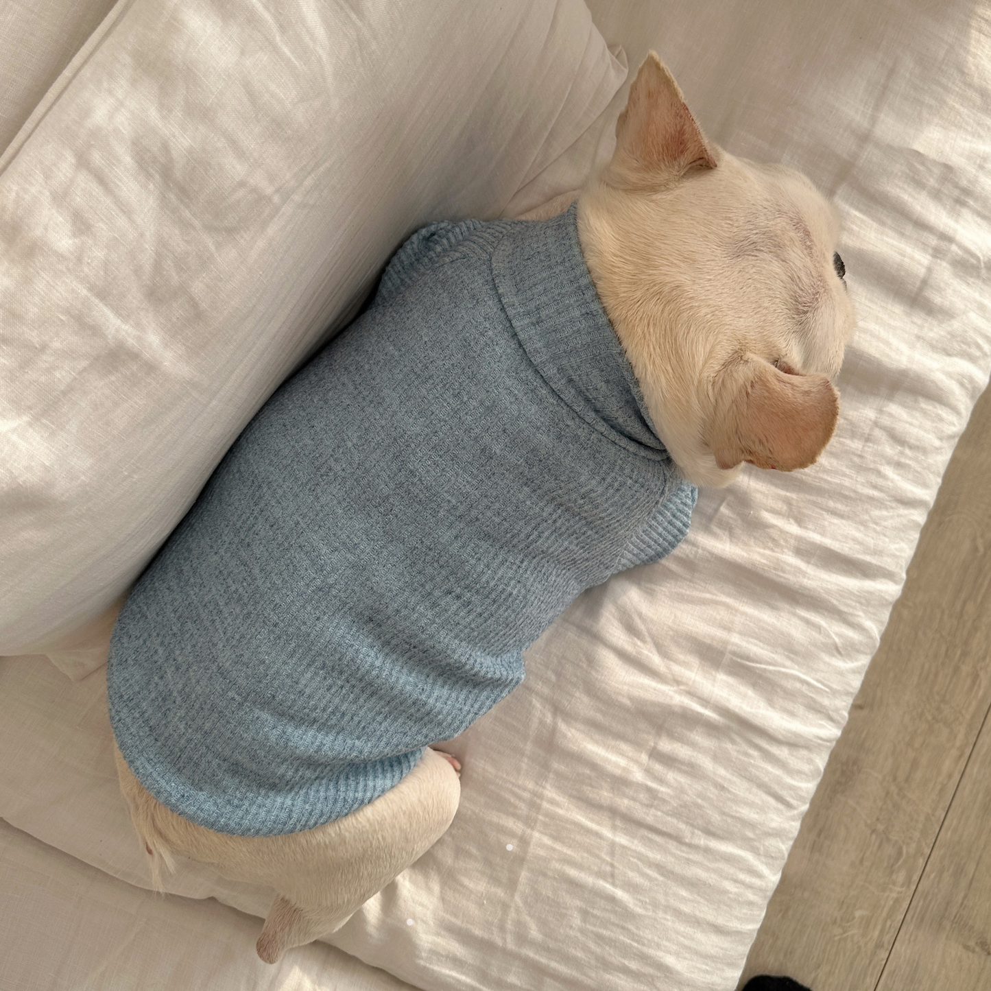 Classic Morandi Undershirt FrenchBulldogshirtforwinterbyFrenchiely_2