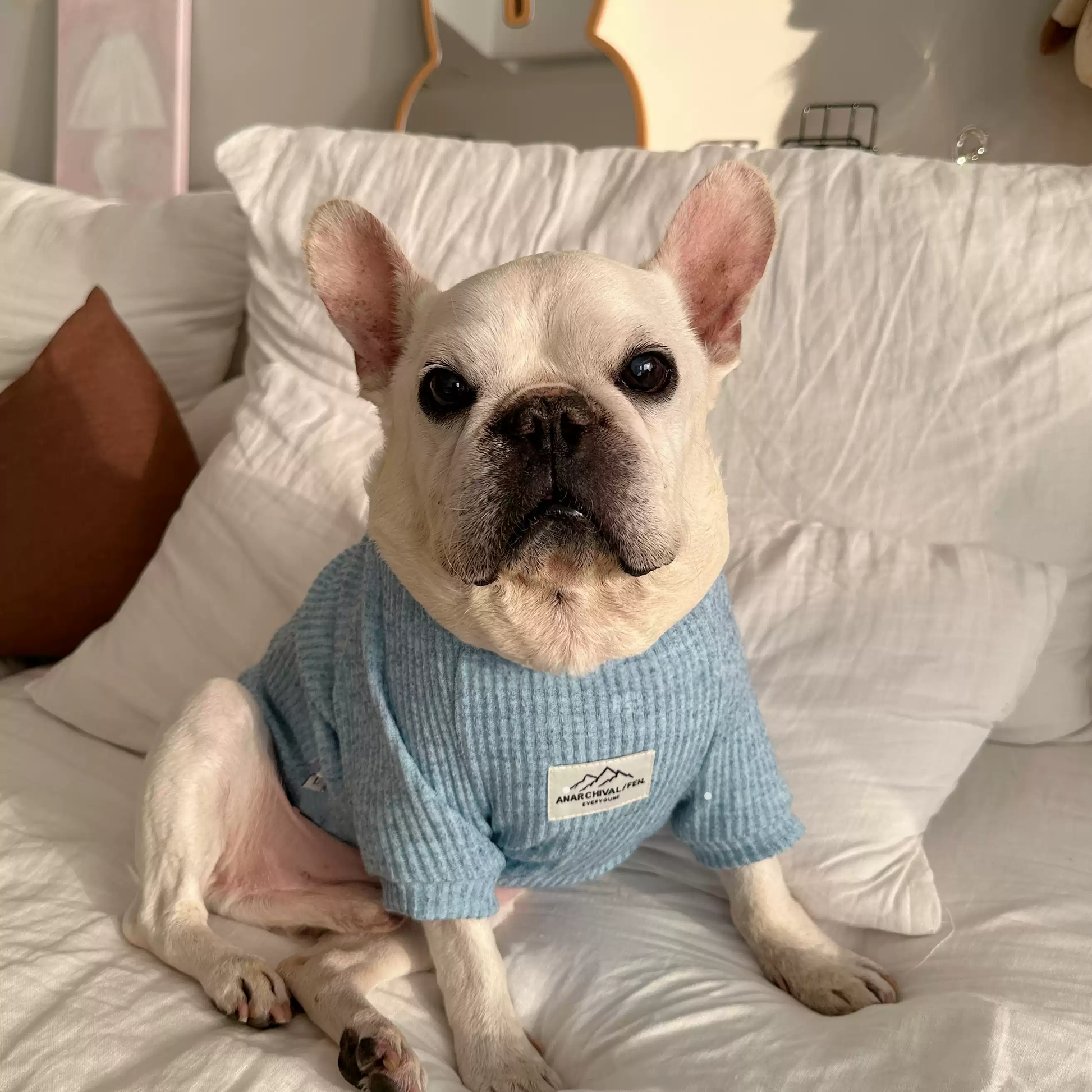 Classic Morandi Undershirt FrenchBulldogshirtforwinterbyFrenchiely_3