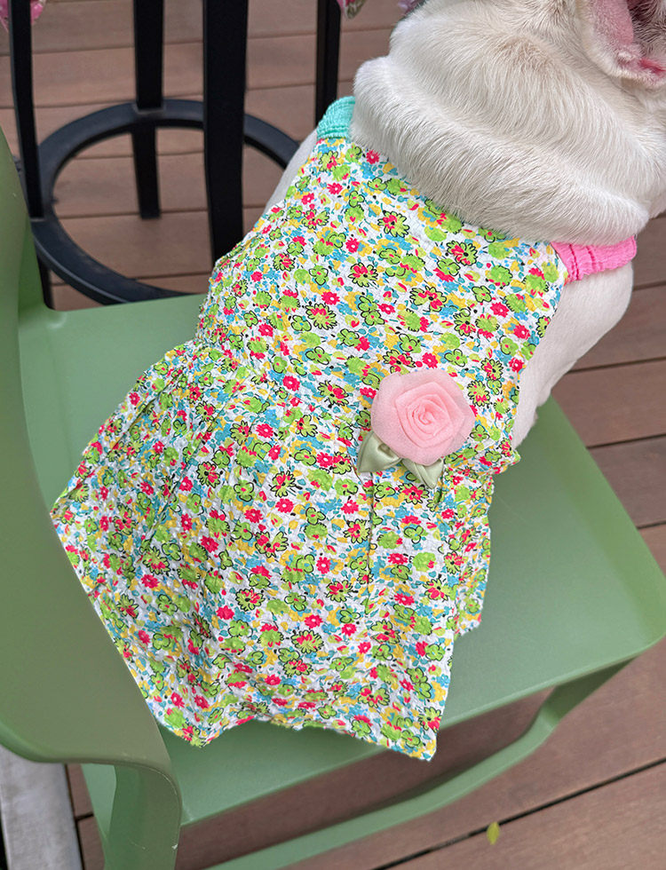 Summer Floral Dress with Pink Pin FrenchBulldogsummergreenfloraldresswithpinkflowerpinbyFrenchiely_1