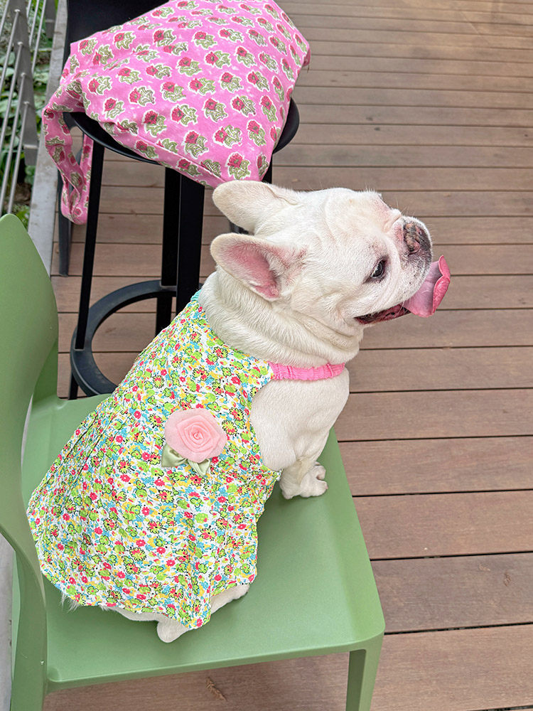 Summer Floral Dress with Pink Pin FrenchBulldogsummergreenfloraldresswithpinkflowerpinbyFrenchiely_12