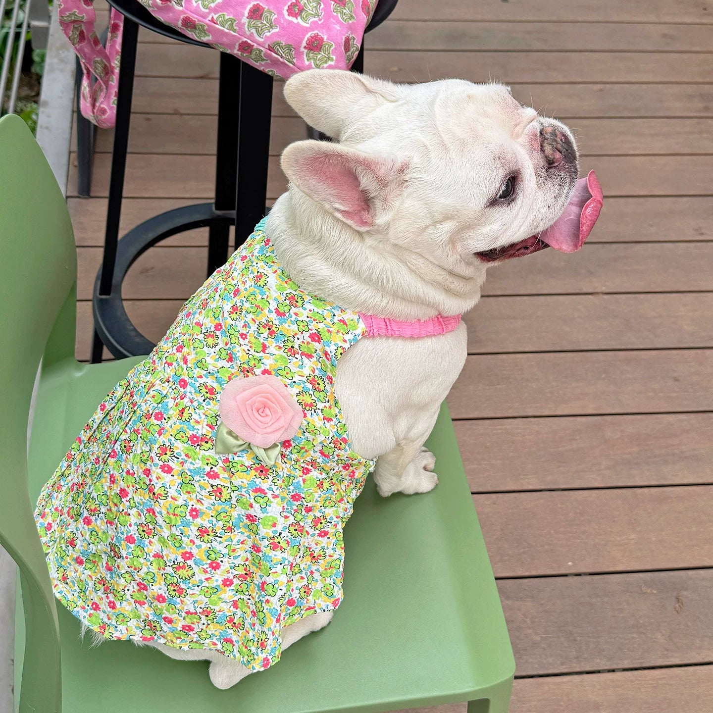 Summer Floral Dress with Pink Pin FrenchBulldogsummergreenfloraldresswithpinkflowerpinbyFrenchiely_2