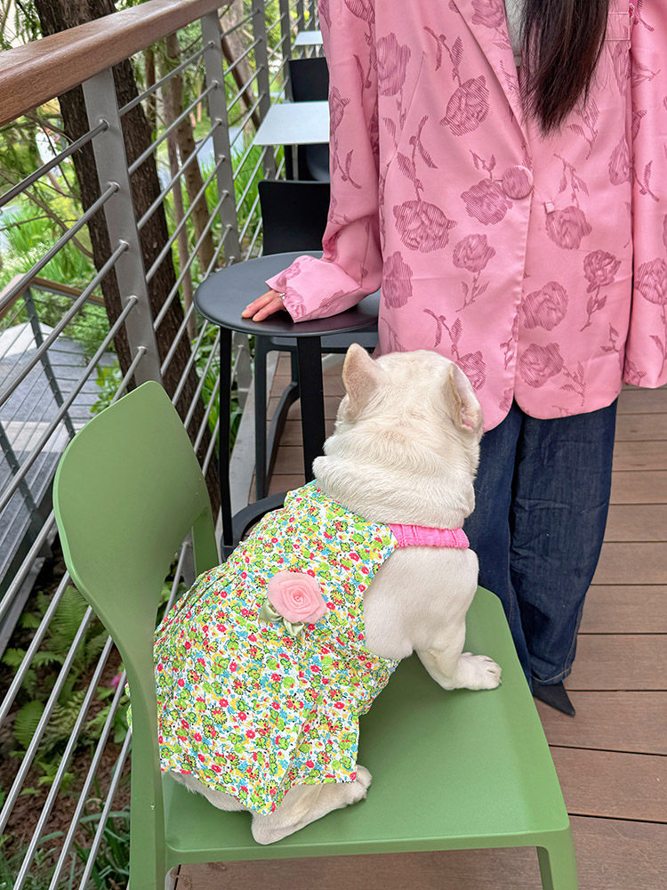 Summer Floral Dress with Pink Pin FrenchBulldogsummergreenfloraldresswithpinkflowerpinbyFrenchiely_6