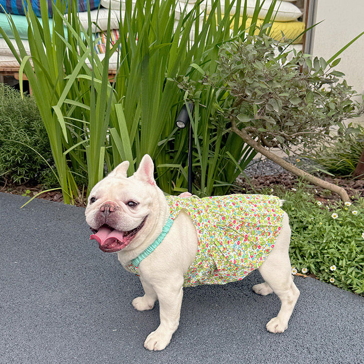 Summer Floral Dress with Pink Pin FrenchBulldogsummergreenfloraldresswithpinkflowerpinbyFrenchiely_7