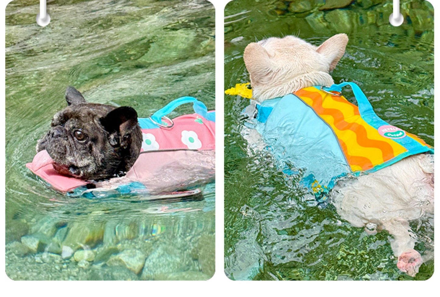 Bulldog Swim Lifejacket FrenchBulldogsummerswimtrunklifejacketbyFrenchiely_1_c9f75dd5-537f-4493-87cc-aa04e4e33d2c