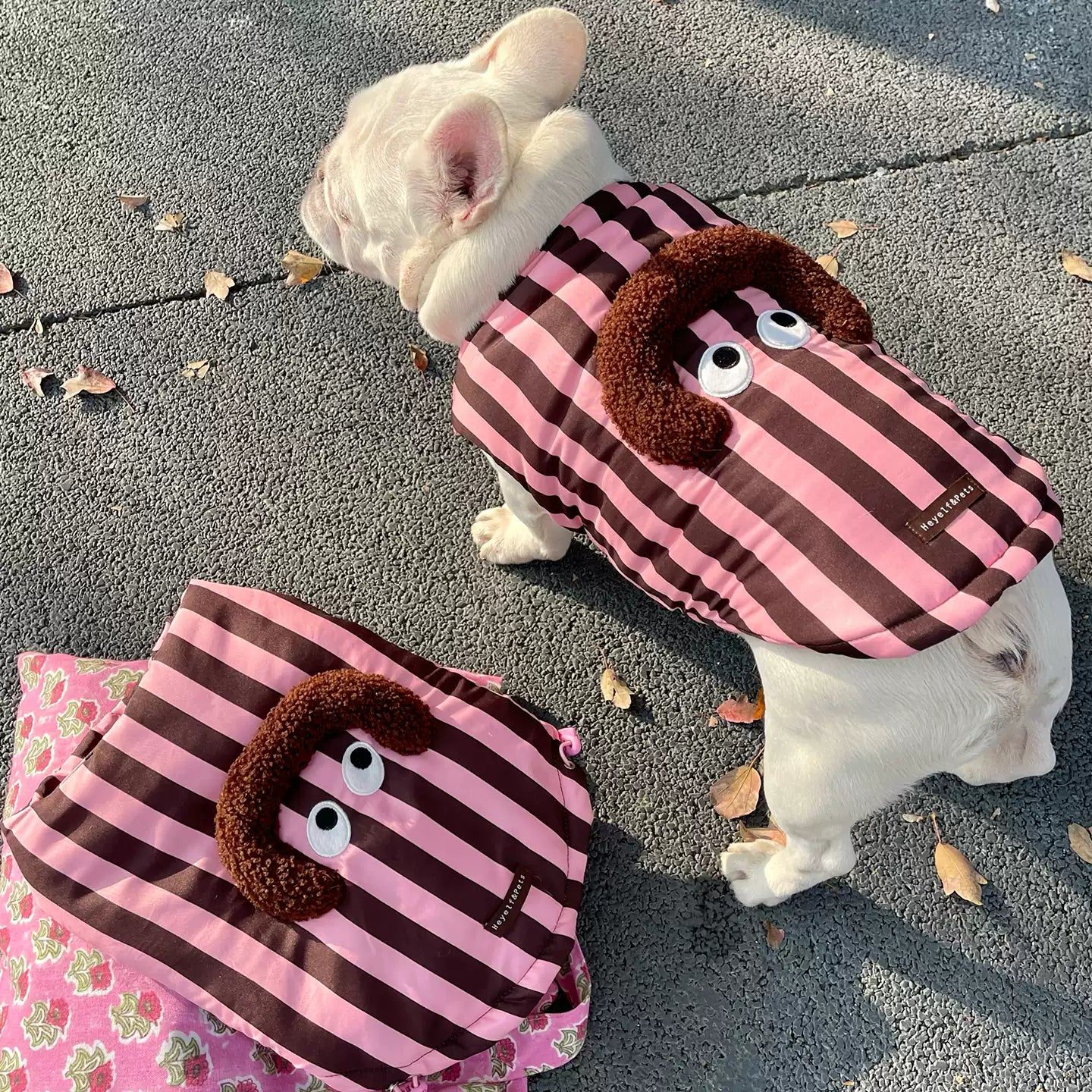 Pastel Violet Coat FrenchBulldogwarmjacketcoatwithfunnypattern_4