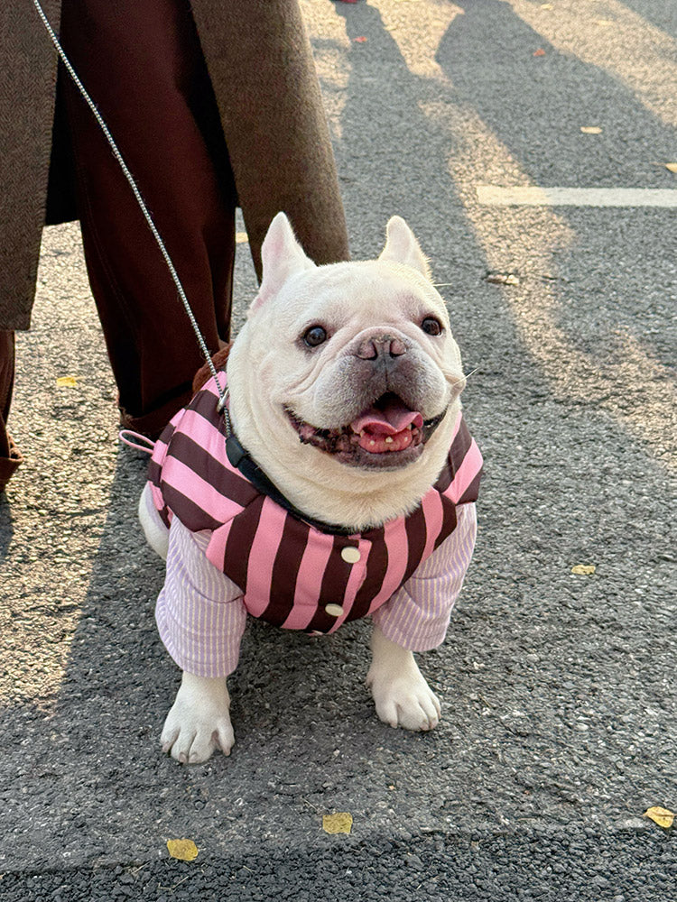 Pastel Violet Coat FrenchBulldogwarmjacketcoatwithfunnypattern_6