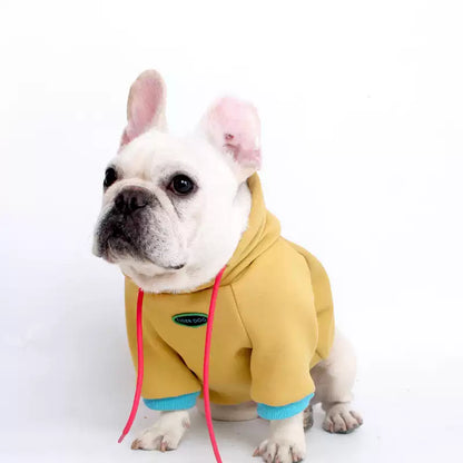 Dog Vibrant Hoody FrenchBulldogwinterwarmhoodiecoat_4