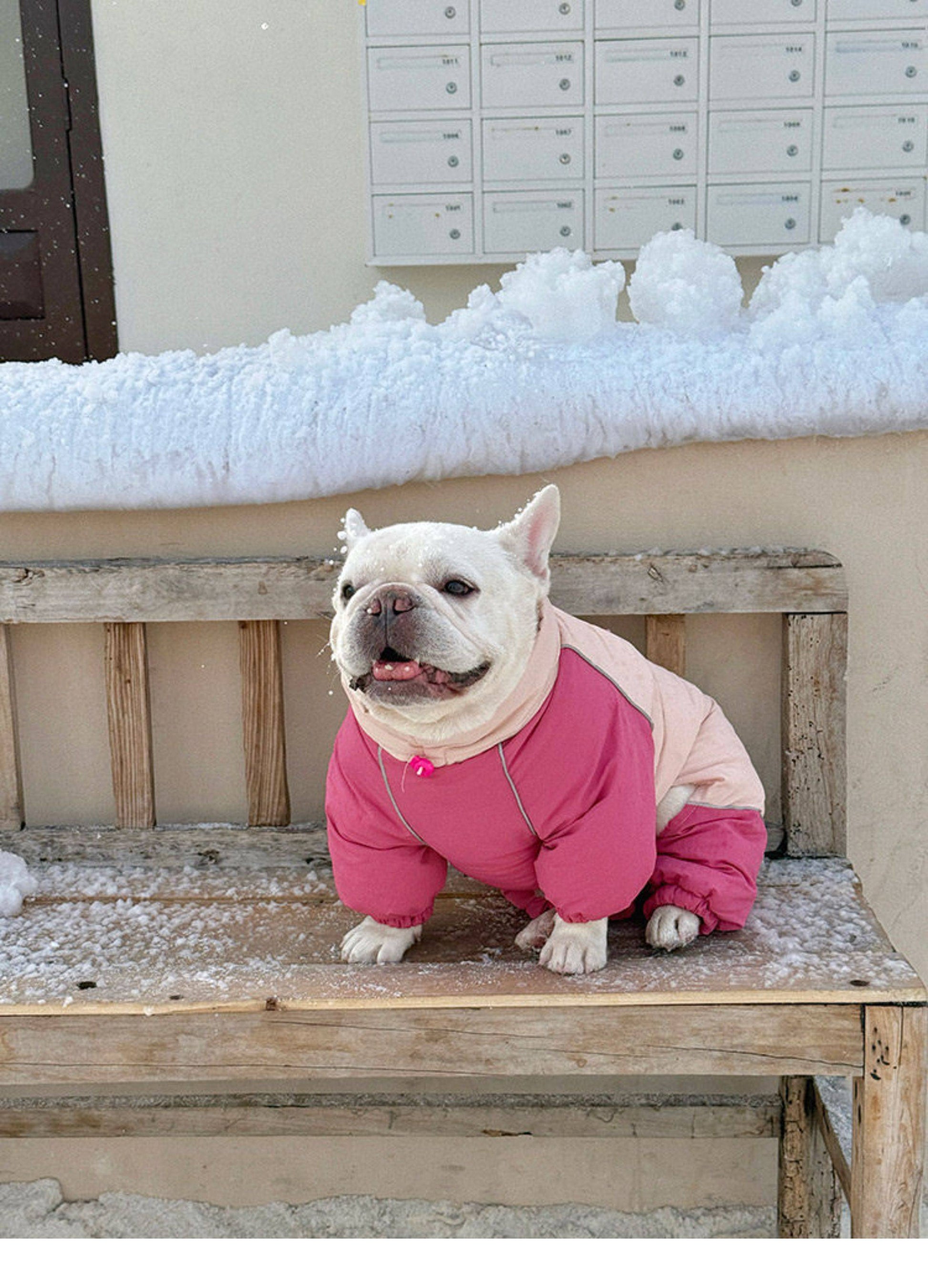 Senior Dog Neck Protection Warm Jumpsuit FrenchBulldogwinterwarmonesiejumpsuitcoatbyFrenchiely_1