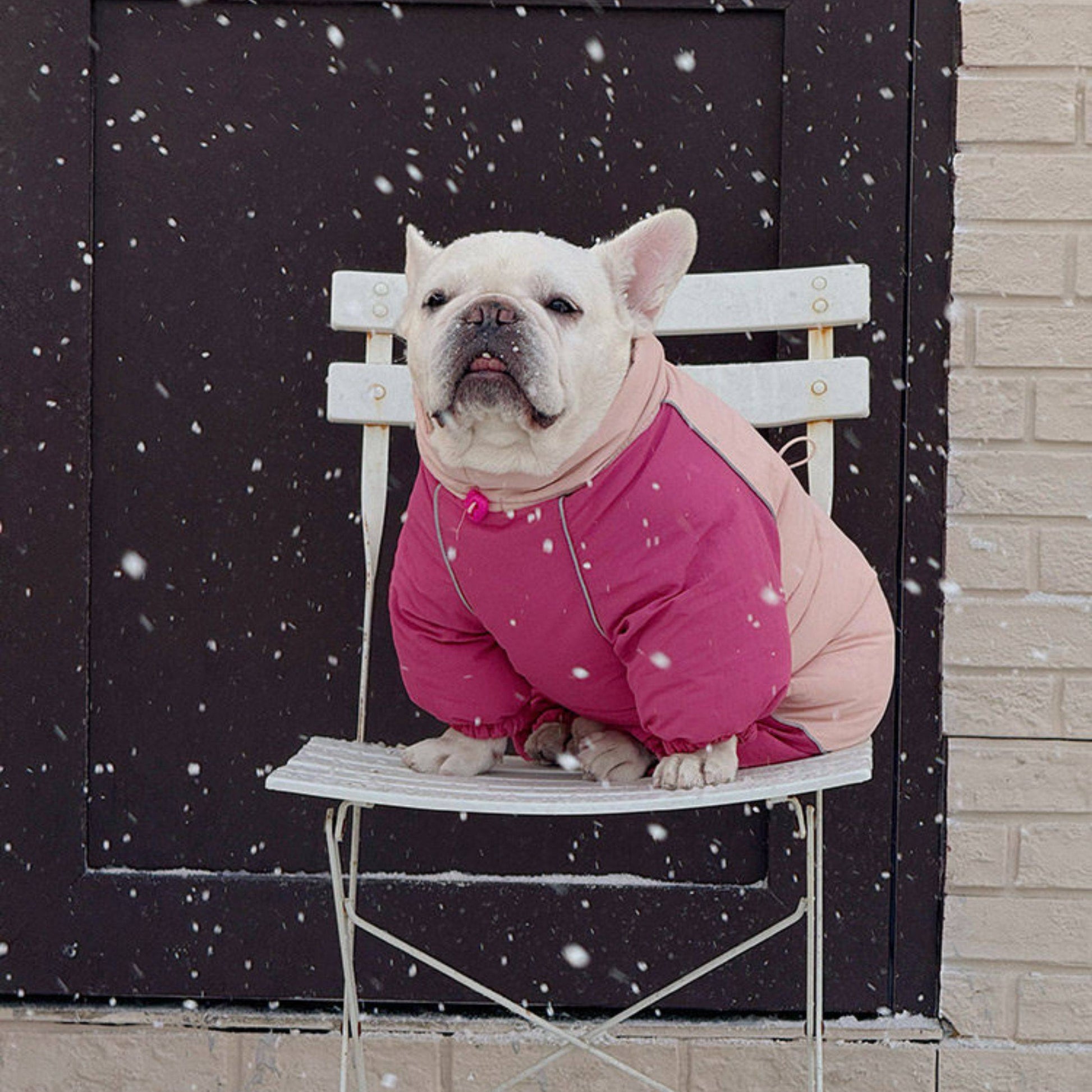 Senior Dog Neck Protection Warm Jumpsuit FrenchBulldogwinterwarmonesiejumpsuitcoatbyFrenchiely_13