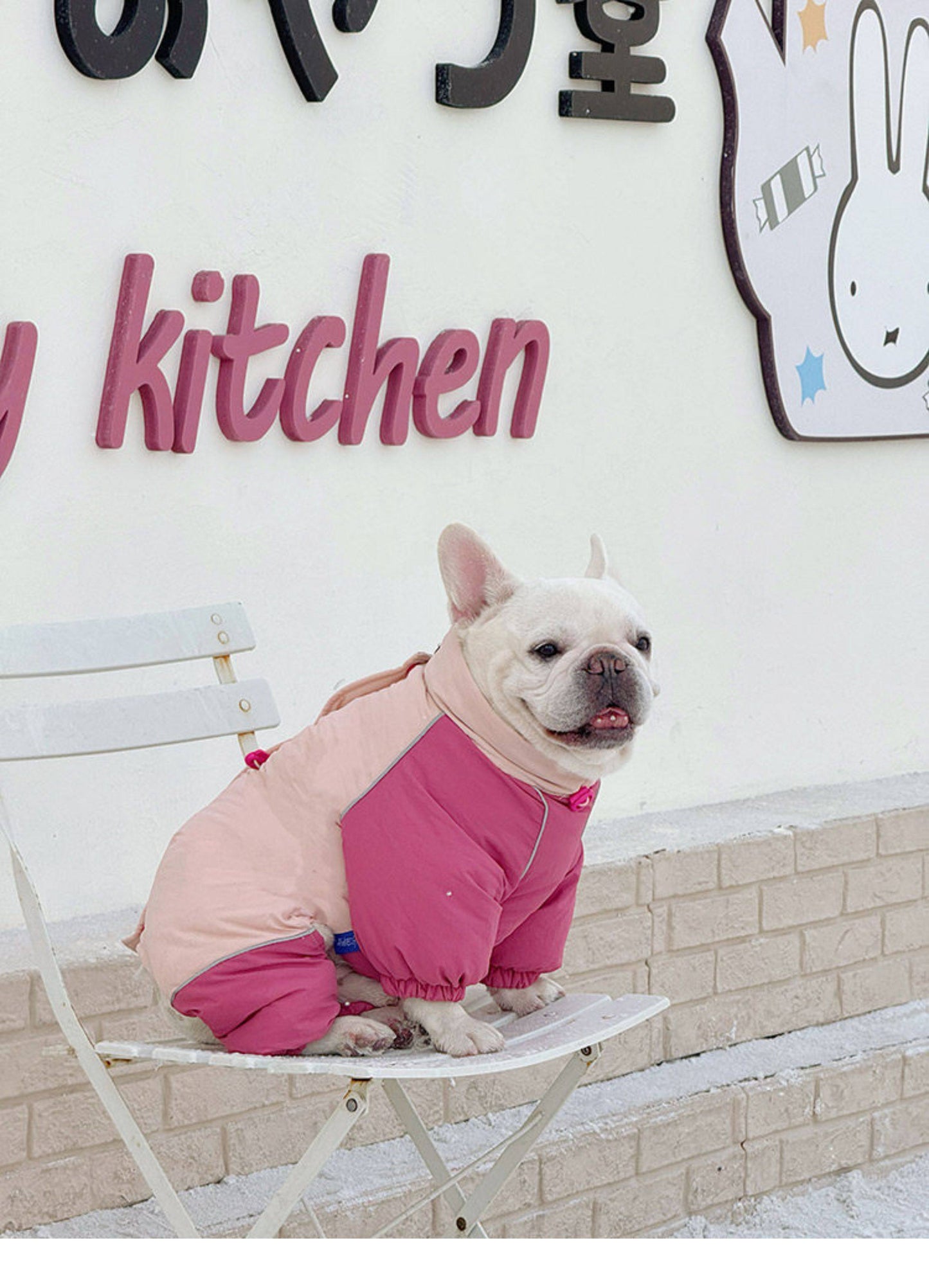 Senior Dog Neck Protection Warm Jumpsuit FrenchBulldogwinterwarmonesiejumpsuitcoatbyFrenchiely_15