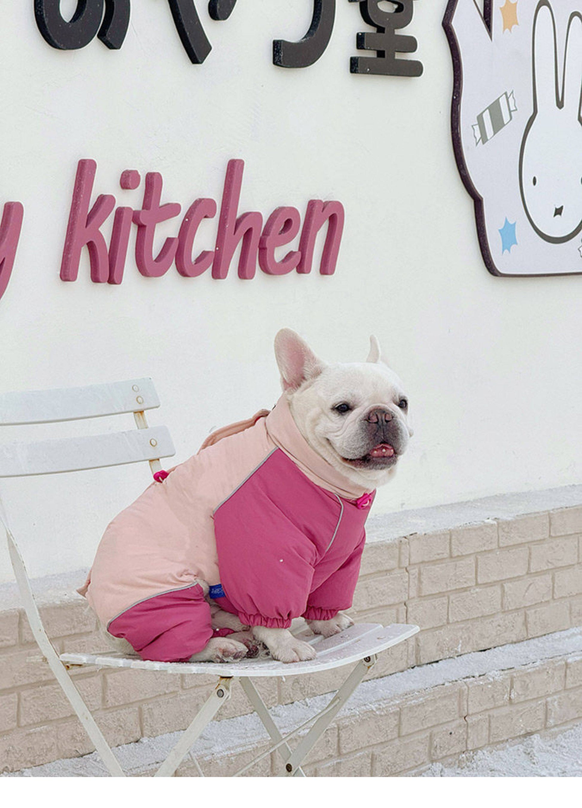 Senior Dog Neck Protection Warm Jumpsuit FrenchBulldogwinterwarmonesiejumpsuitcoatbyFrenchiely_15
