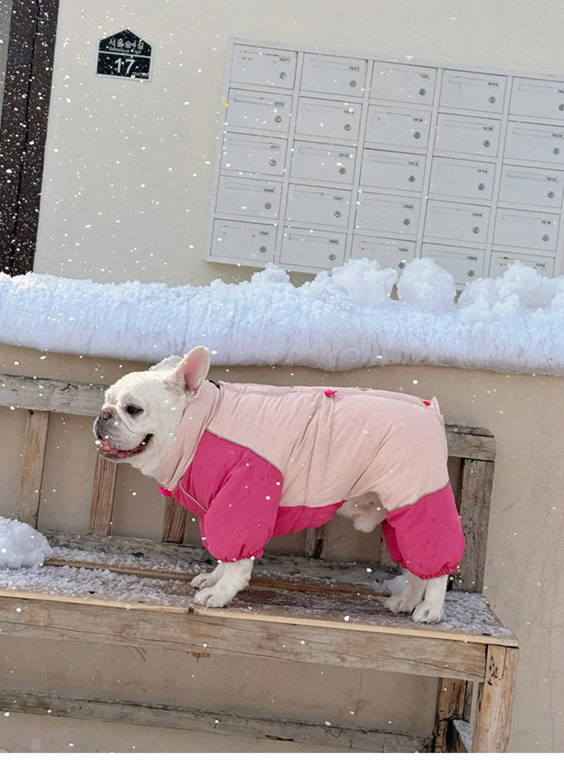 Senior Dog Neck Protection Warm Jumpsuit FrenchBulldogwinterwarmonesiejumpsuitcoatbyFrenchiely_16