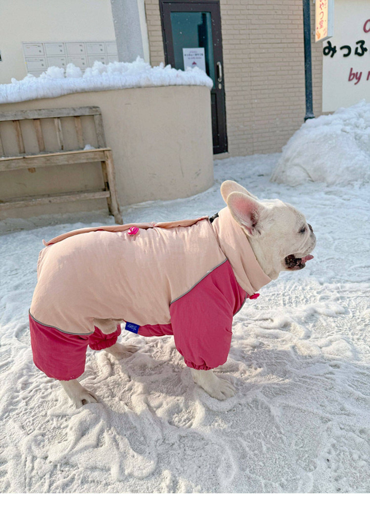Senior Dog Neck Protection Warm Jumpsuit FrenchBulldogwinterwarmonesiejumpsuitcoatbyFrenchiely_17