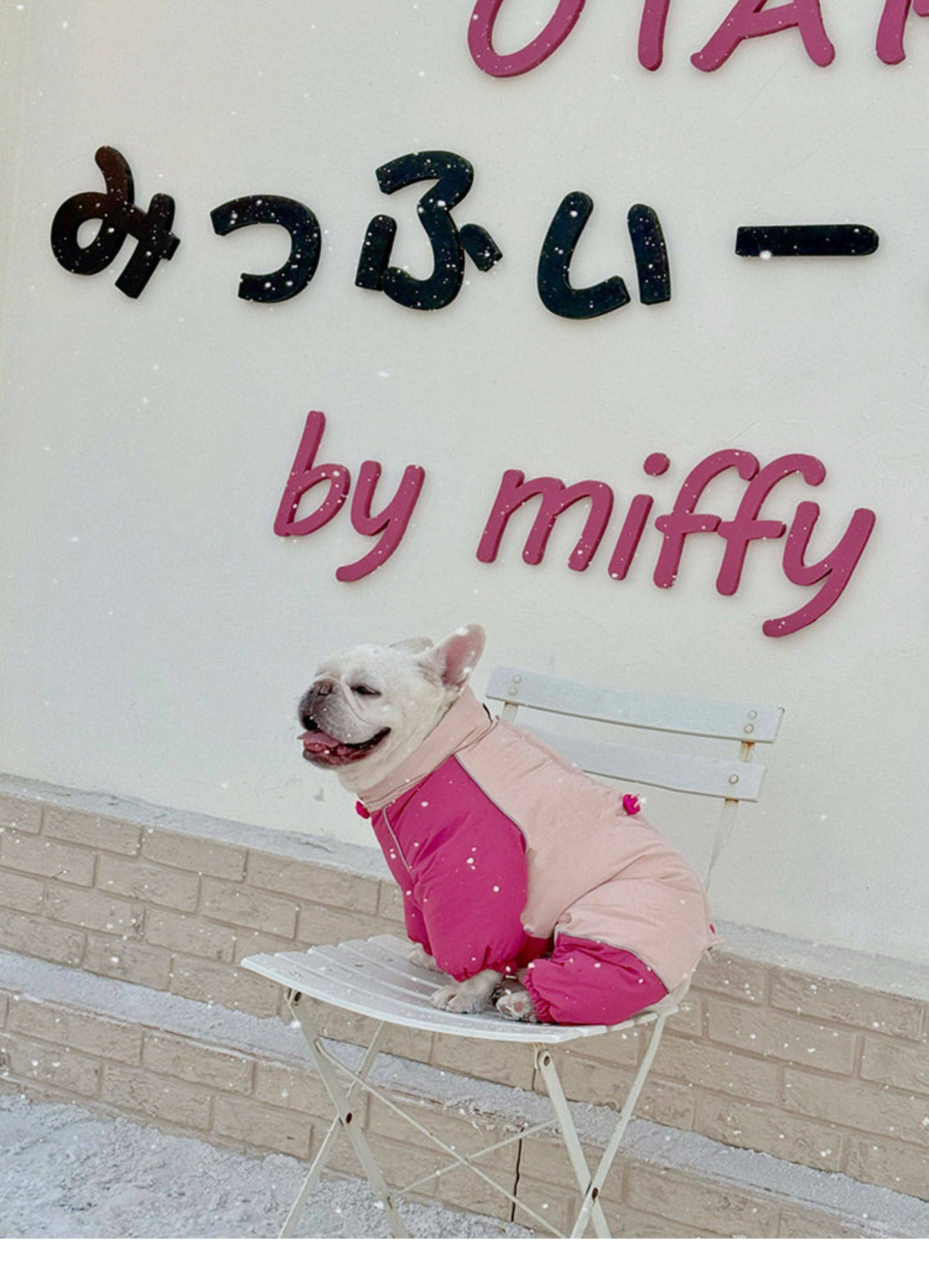 Senior Dog Neck Protection Warm Jumpsuit FrenchBulldogwinterwarmonesiejumpsuitcoatbyFrenchiely_2
