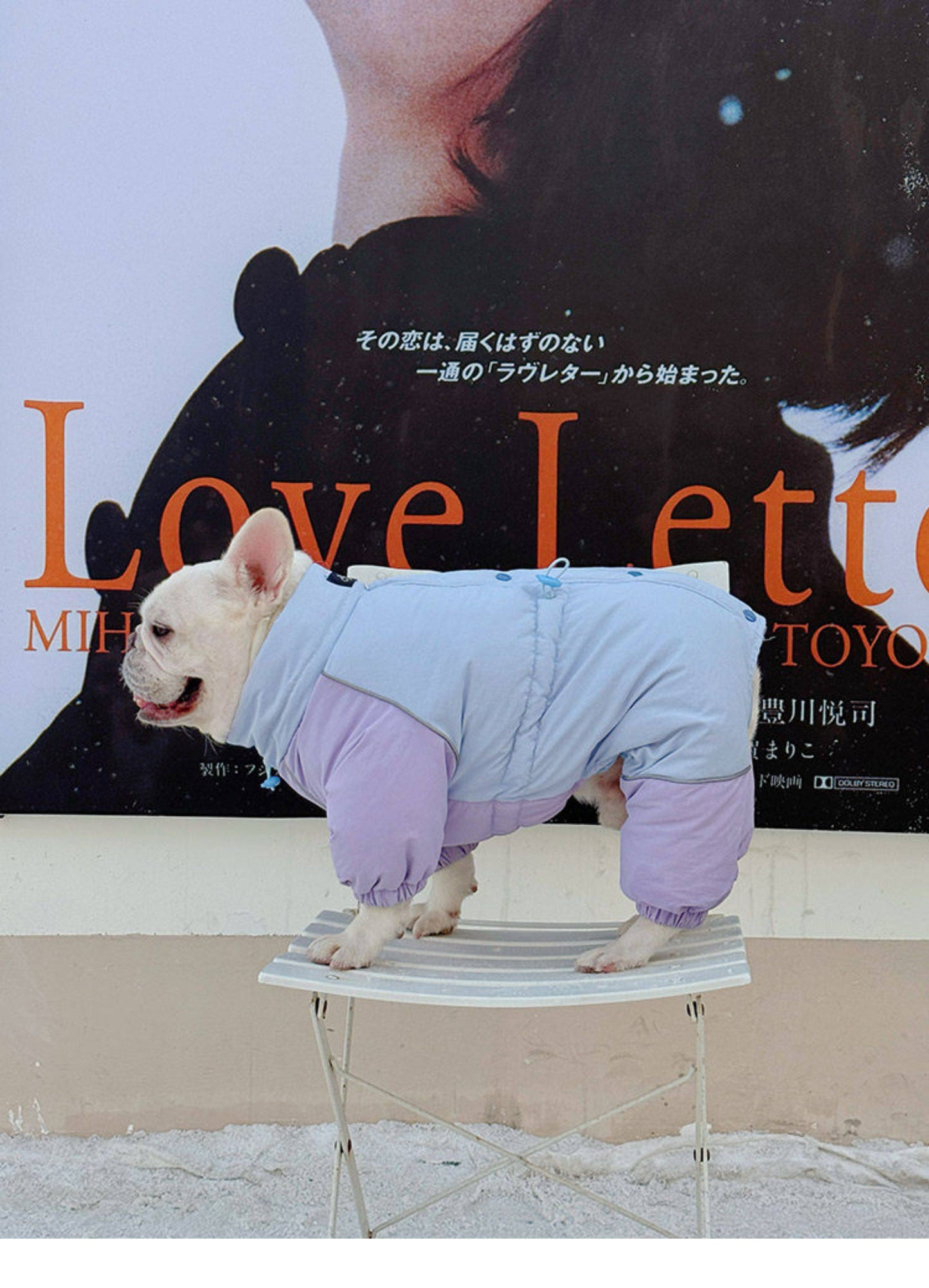 Senior Dog Neck Protection Warm Jumpsuit FrenchBulldogwinterwarmonesiejumpsuitcoatbyFrenchiely_3