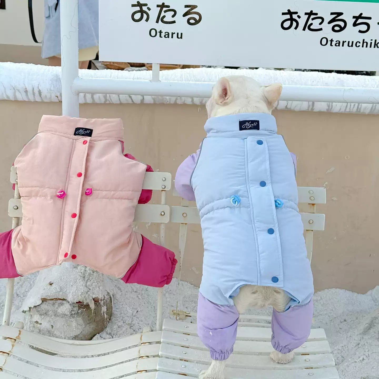Senior Dog Neck Protection Warm Jumpsuit FrenchBulldogwinterwarmonesiejumpsuitcoatbyFrenchiely_3