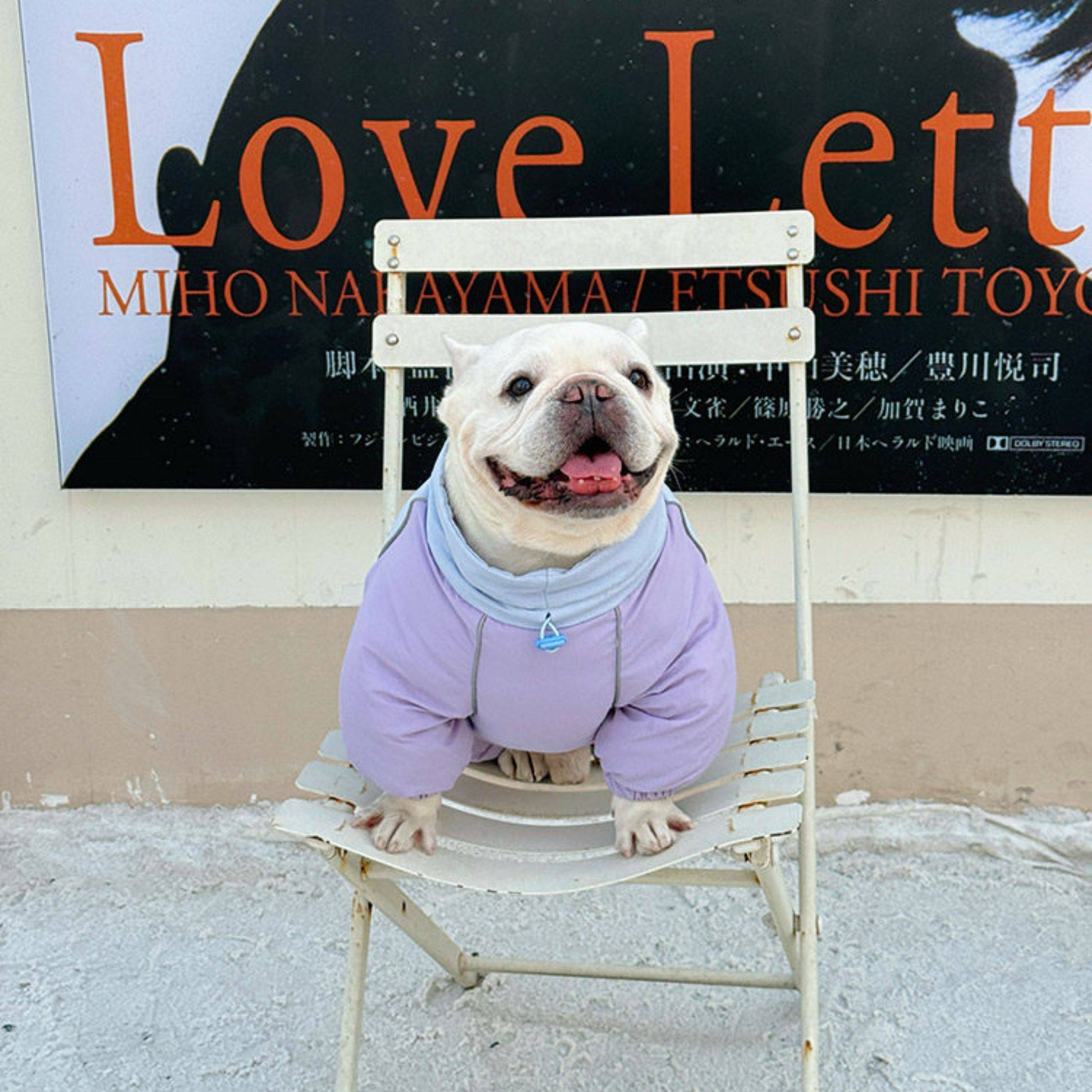 Senior Dog Neck Protection Warm Jumpsuit FrenchBulldogwinterwarmonesiejumpsuitcoatbyFrenchiely_4