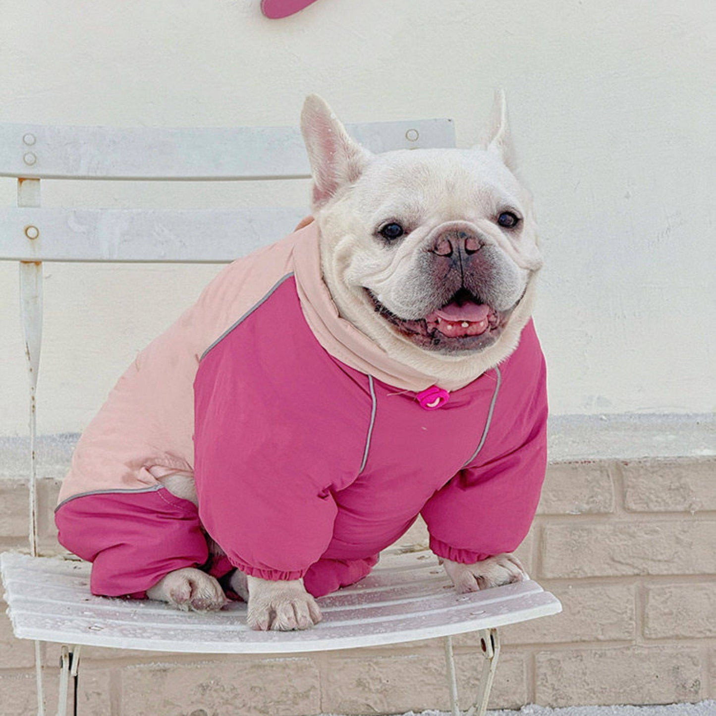 Senior Dog Neck Protection Warm Jumpsuit FrenchBulldogwinterwarmonesiejumpsuitcoatbyFrenchiely_9