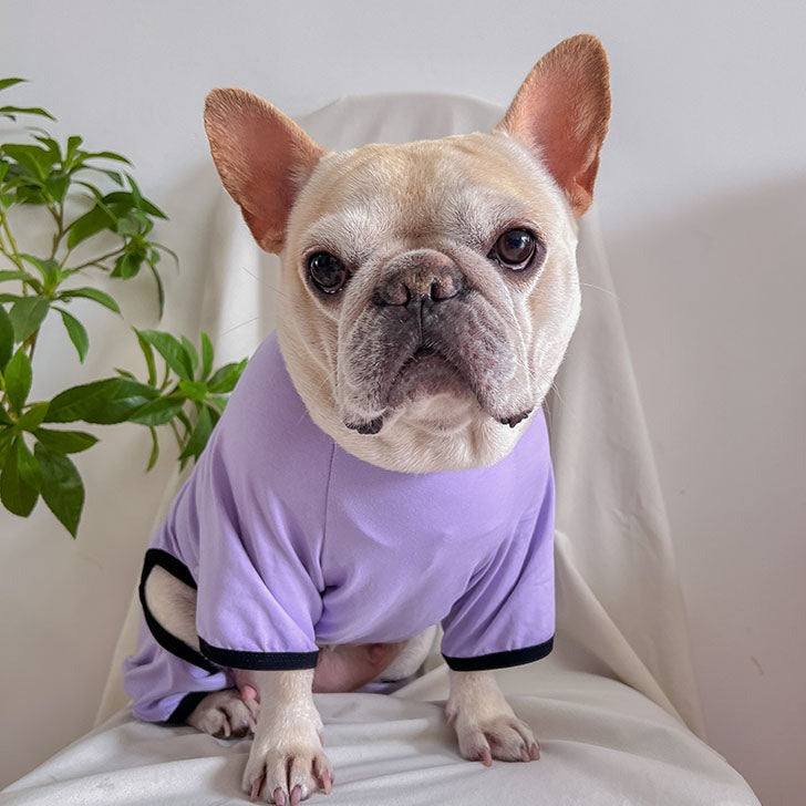 French Bulldog Onesie Pajamas stretchy Frenchiely