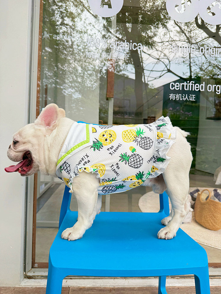 Dog Summer Mesh Pineapple Shirt