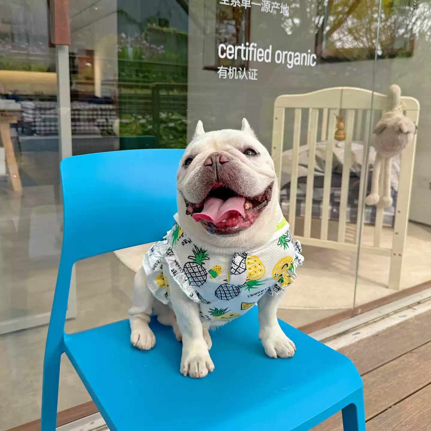 Dog Summer Mesh Pineapple Shirt