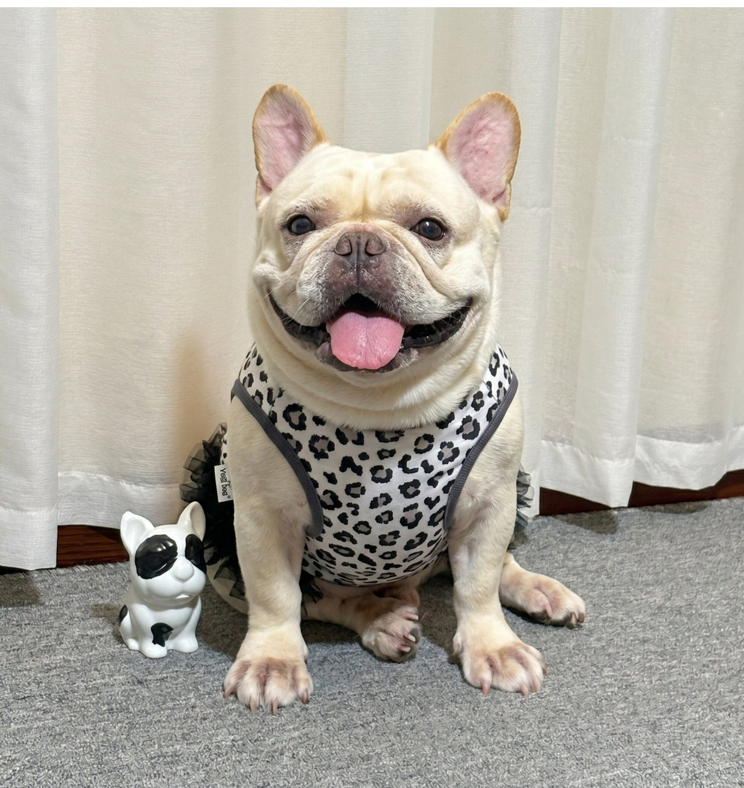 Dog Black Leopard tutu Dress FrenchbulldogsummerleopardtutudressbyFrenchiely01_5