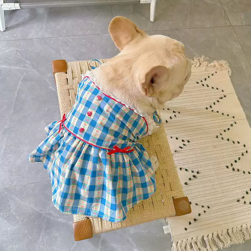 Blue Plaid Dress