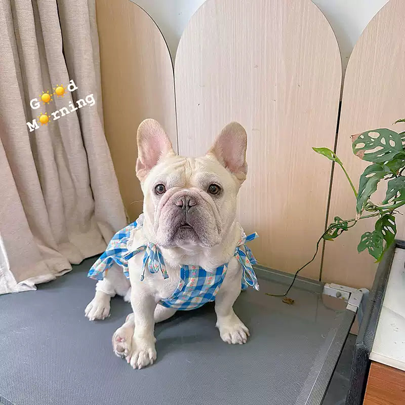 Blue Plaid Dress