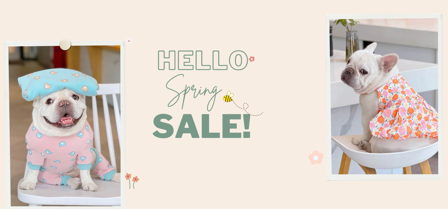 Frenchie shop best sale online