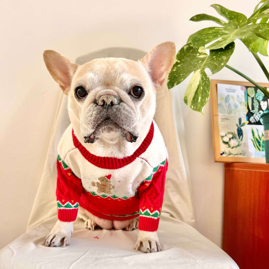 Dog Christmas Reindeer Sweater with Hat for medium dogs by Frenchiely
