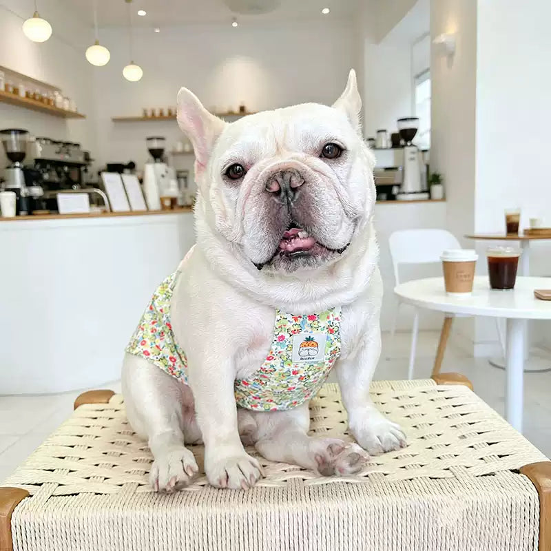 Summer Floral Dress with Pink Pin Frenchielydogflowerpinfloraldressformediumdogbreeds_3