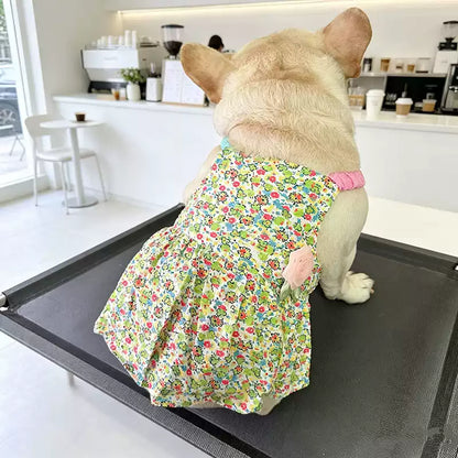 Summer Floral Dress with Pink Pin Frenchielydogflowerpinfloraldressformediumdogbreeds_4