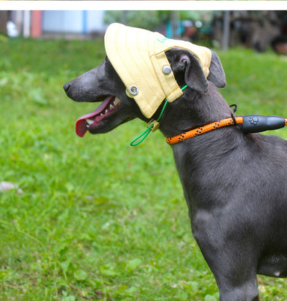 Flat Face Dog Sun Protection Hat Frenchielyflatfacefrenchbulldogsummersunscreenhat_11
