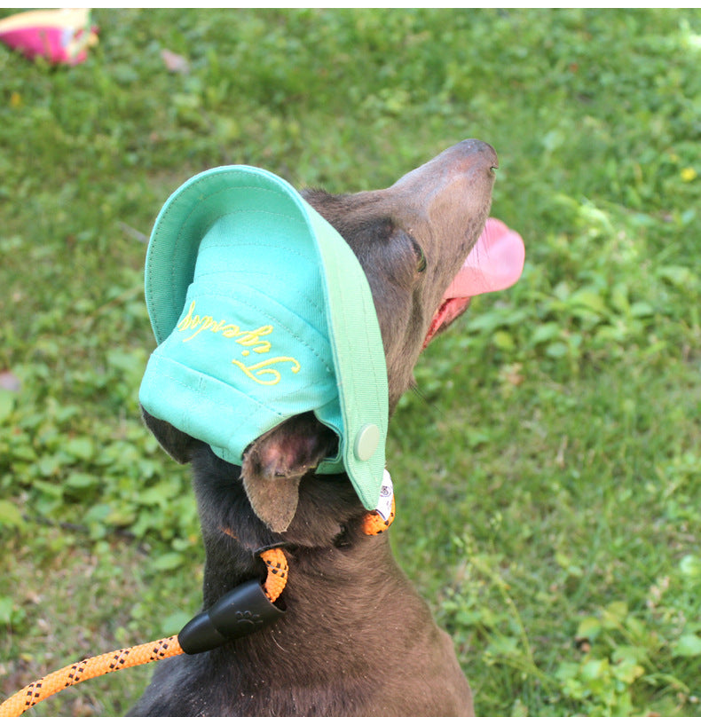 Flat Face Dog Sun Protection Hat Frenchielyflatfacefrenchbulldogsummersunscreenhat_22