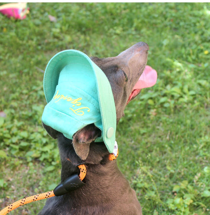 Flat Face Dog Sun Protection Hat Frenchielyflatfacefrenchbulldogsummersunscreenhat_22