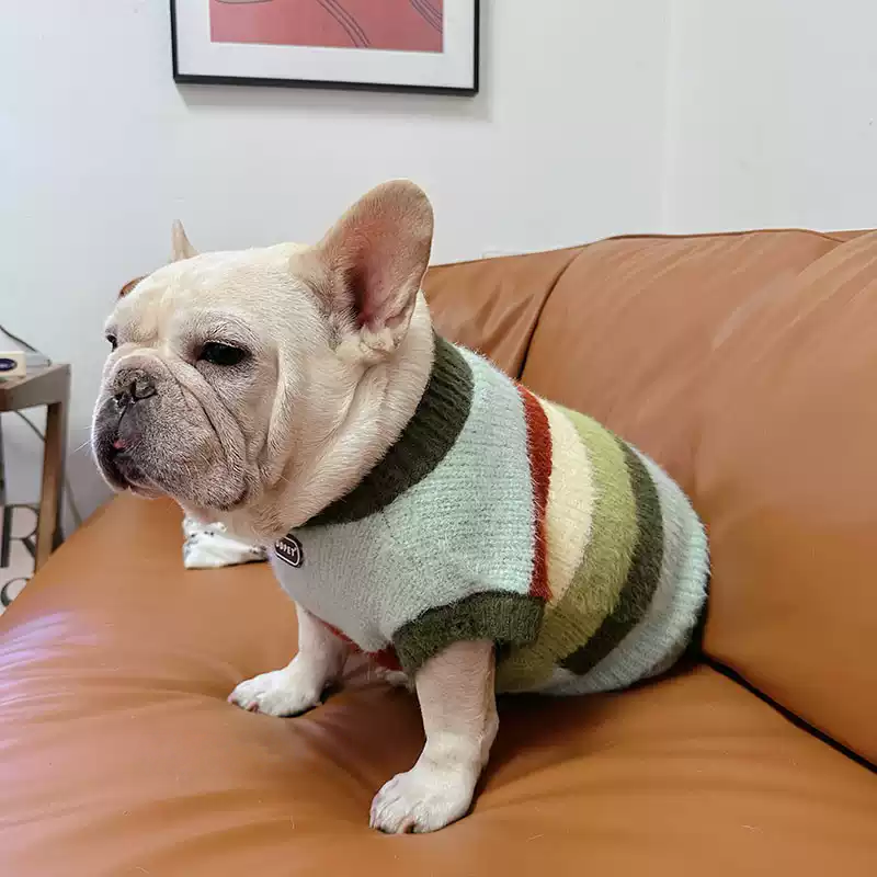 Green Stripe Sweater GreenStripeSweaterforfrenchbulldogs_1