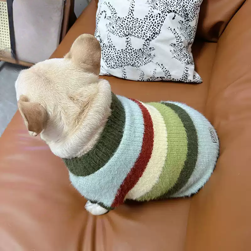 Green Stripe Sweater GreenStripeSweaterforfrenchbulldogs_4