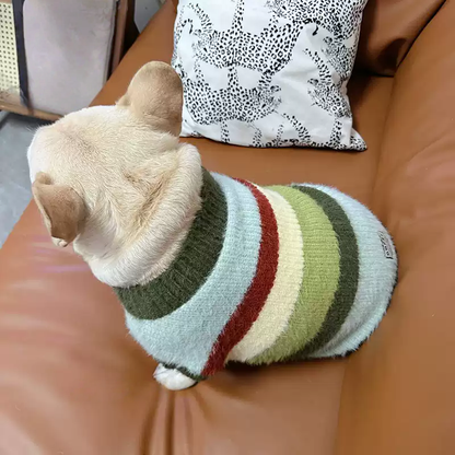 Green Stripe Sweater GreenStripeSweaterforfrenchbulldogs_4