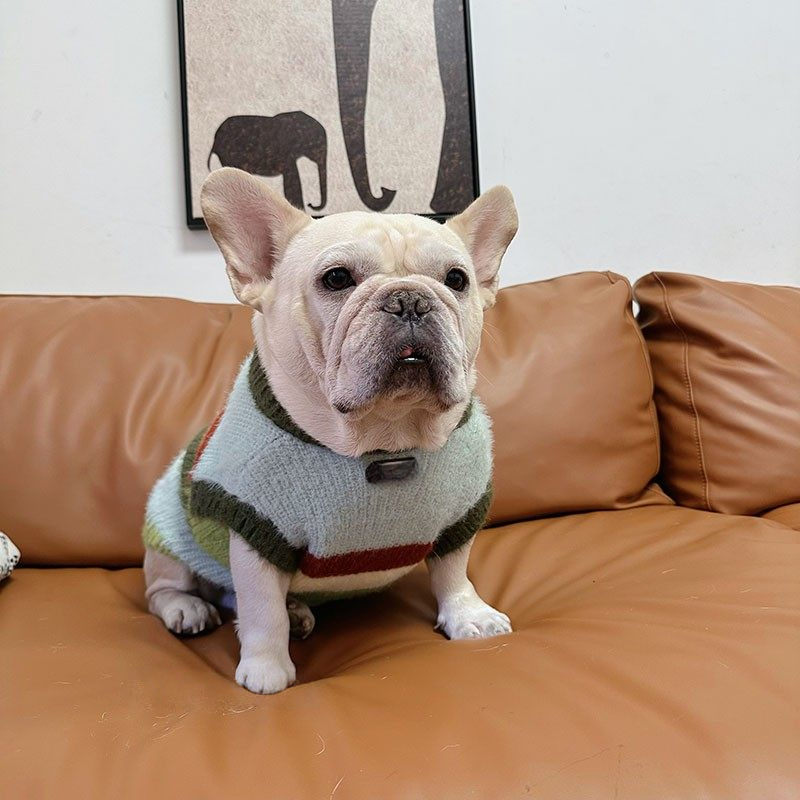 Green Stripe Sweater GreenStripeSweaterforfrenchbulldogs_5