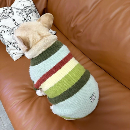 Green Stripe Sweater GreenStripeSweaterforfrenchbulldogs_7