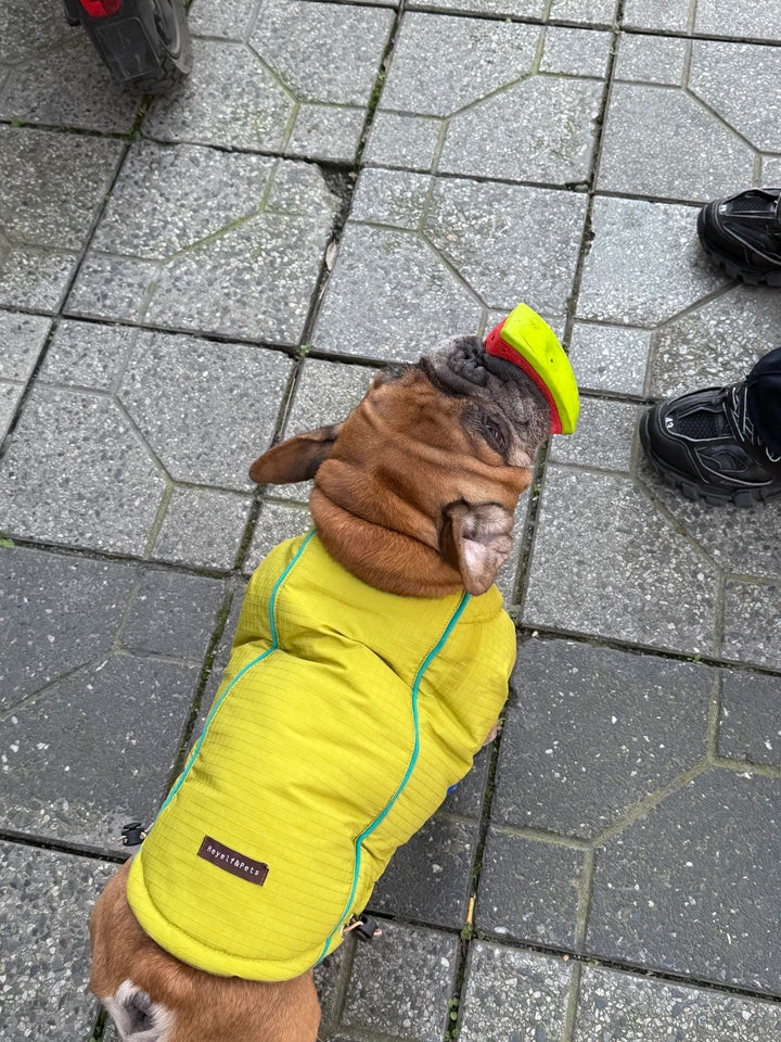 Reversible Inside-Out Warm Jacket MediumDogReversibleInside-OutWarmJacketbyFrenchiely_1