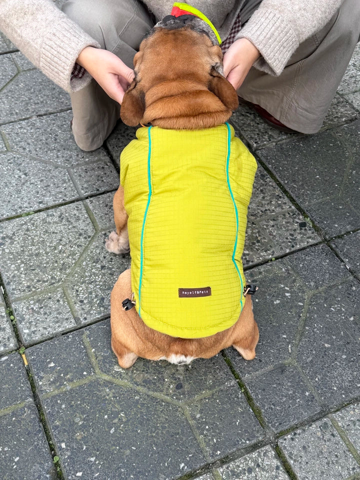 Reversible Inside-Out Warm Jacket MediumDogReversibleInside-OutWarmJacketbyFrenchiely_3