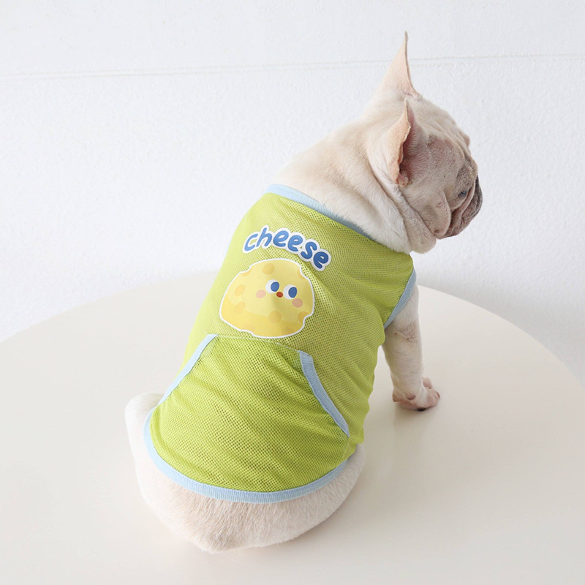 Dog Summer Green Mesh Shirt 'Cheese' O1CN017Q9iWE1DaIx66bHNT__743860232