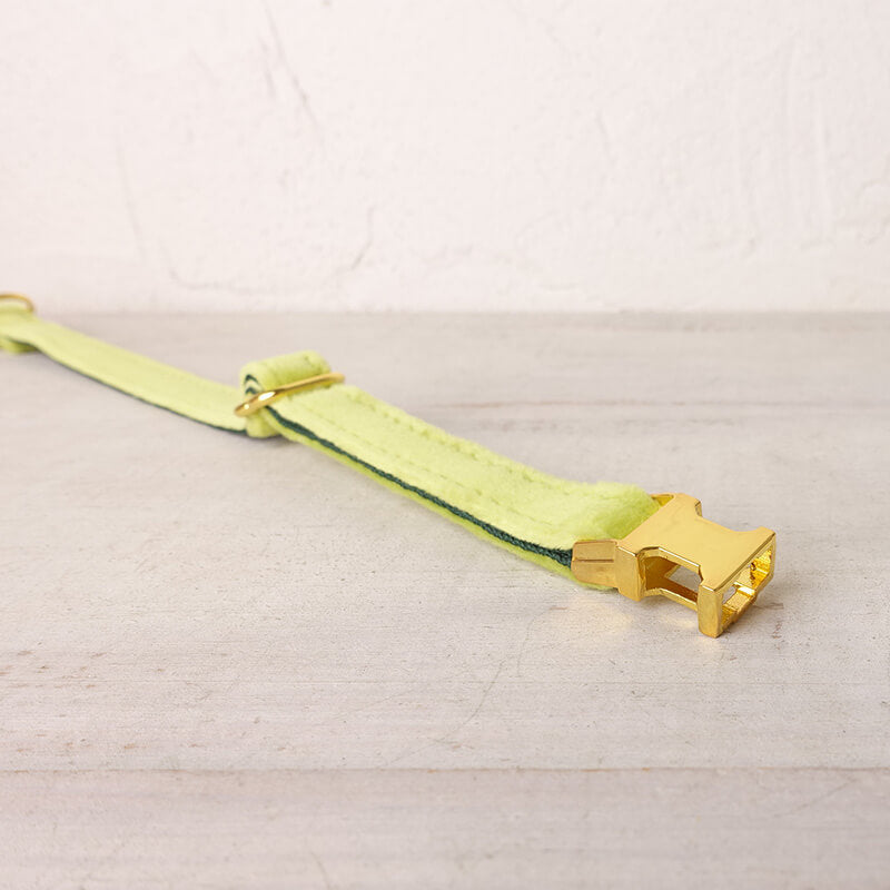 Cat Collar- Avocado - Frenchiely
