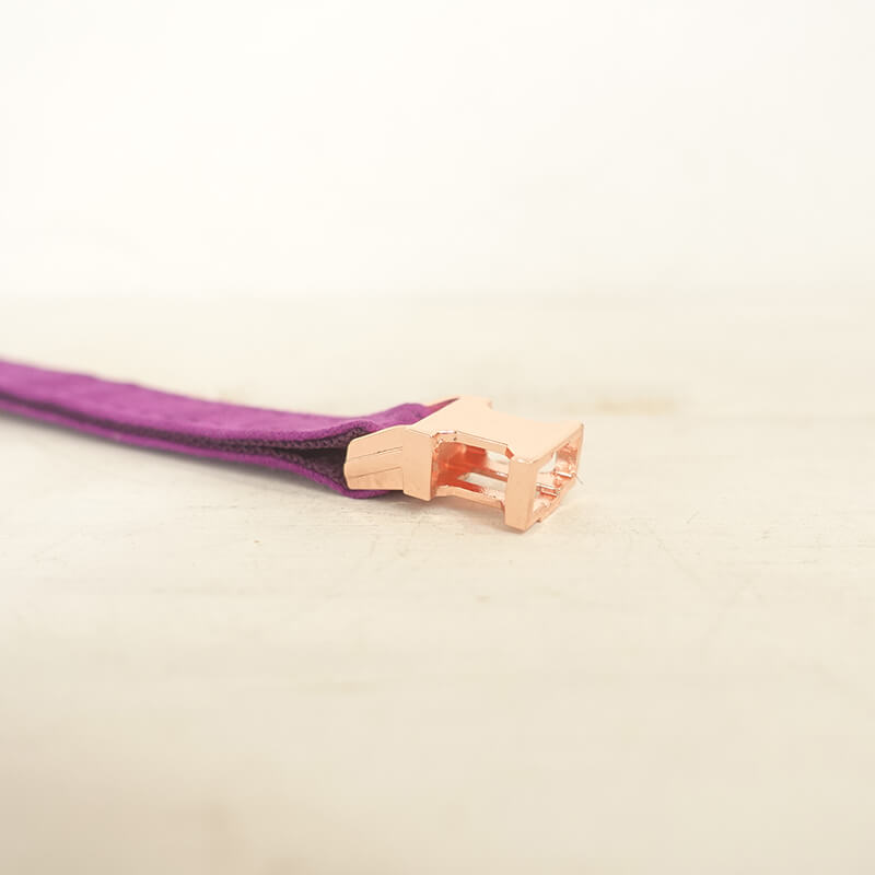 Cat Purple Collar
