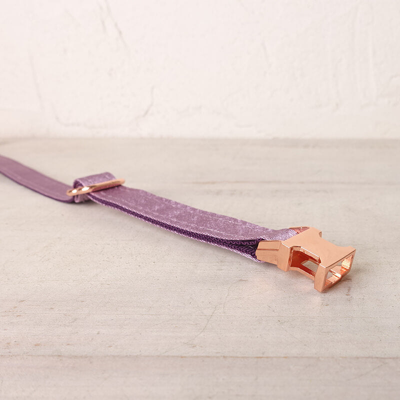 Cat Lilac Collar - Frenchiely