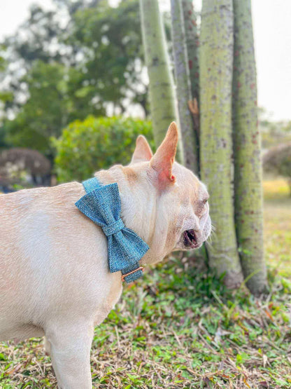 Dog Blue Collar Leash Set - Frenchiely