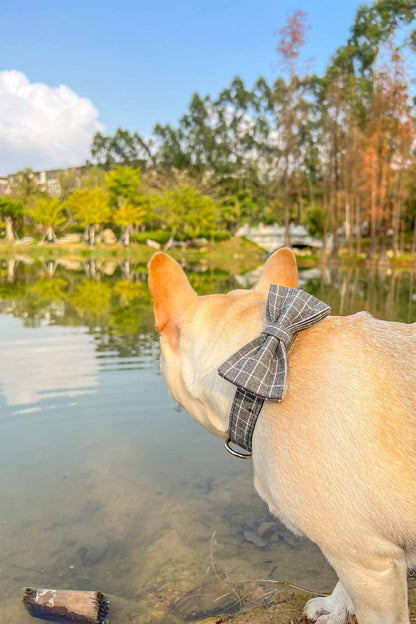 Dog Grey Plaid Leash Set - Frenchiely